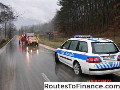 Consigli per gli incidenti automobilistici causati dagli animali Consigli per gli incidenti automobilistici causati dagli animali