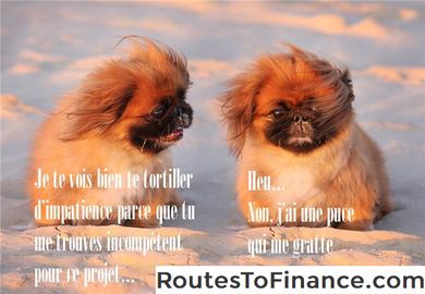 Rares cas où il vaut mieux ne pas rembourser la dette tôt