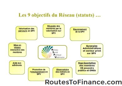 Quels sont les statuts constitutifs d'une organisation à but non lucratif?