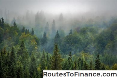 Façons infaillibles d'attribuer votre 401 (k) Money