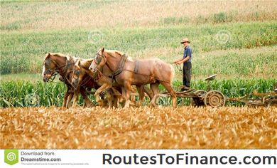 Mais Versus Soybeans L'opzione agricoltori