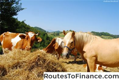 Requisiti minimi di reddito per i ritorni fiscali 2016